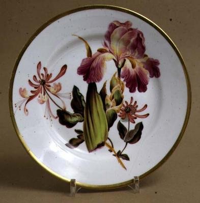 Derby desserttallrik dekorerad med iris och kaprifol, ca 1795 (porslin) av William Quaker attributed to Pegg