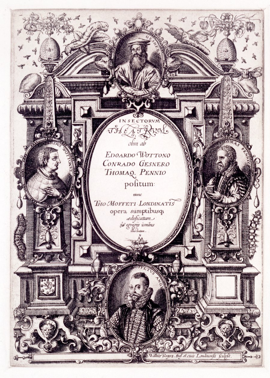 Titelsida till Moffeti Theatrum Insectorum, slutet av 1590-talet av William Rogers