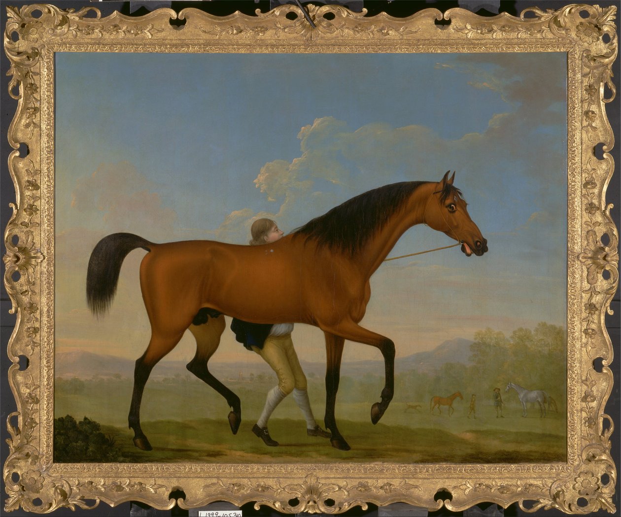 The Duke of Ancasters Bay Stallion, Blank, Walking Towards a Mare av William Shaw