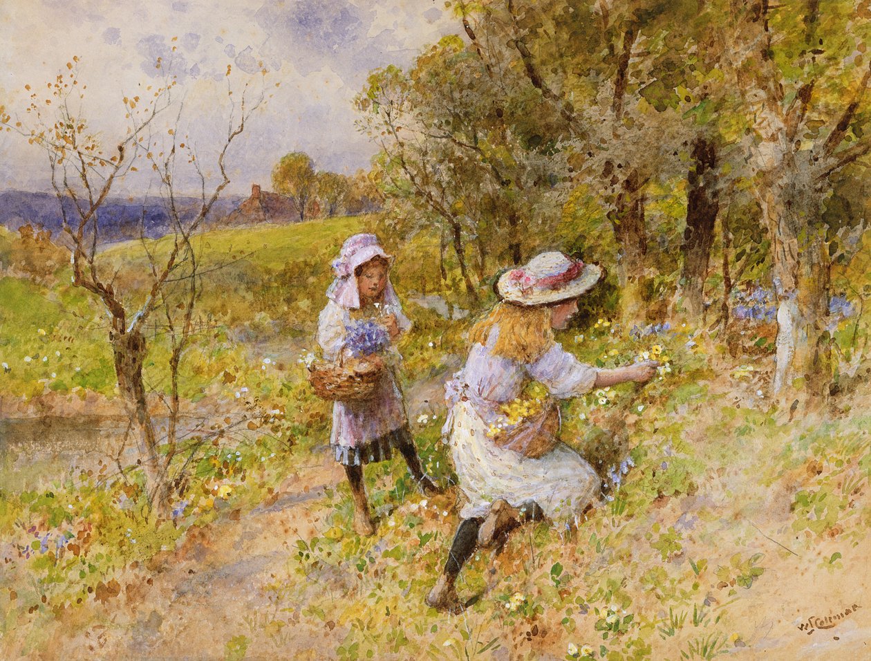 Primrose-samlarna av William Stephen Coleman