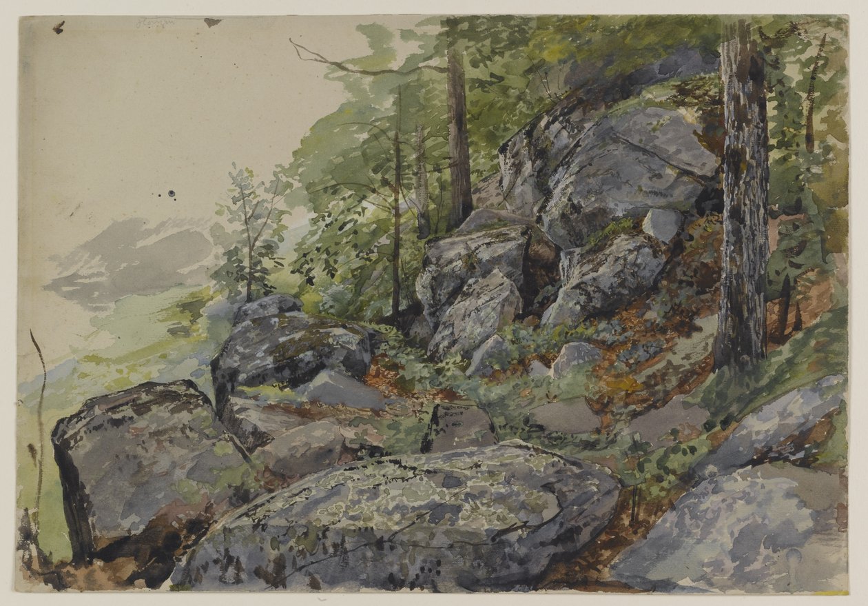 Woodland Boulders, ca 1877-78 (wc över grafit på texturerat vävt papper) av William Trost Richards