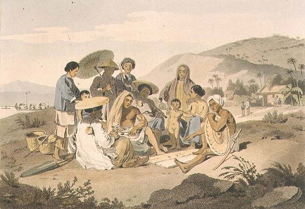 A Group of Cochinkineser, plåt 14 från 
