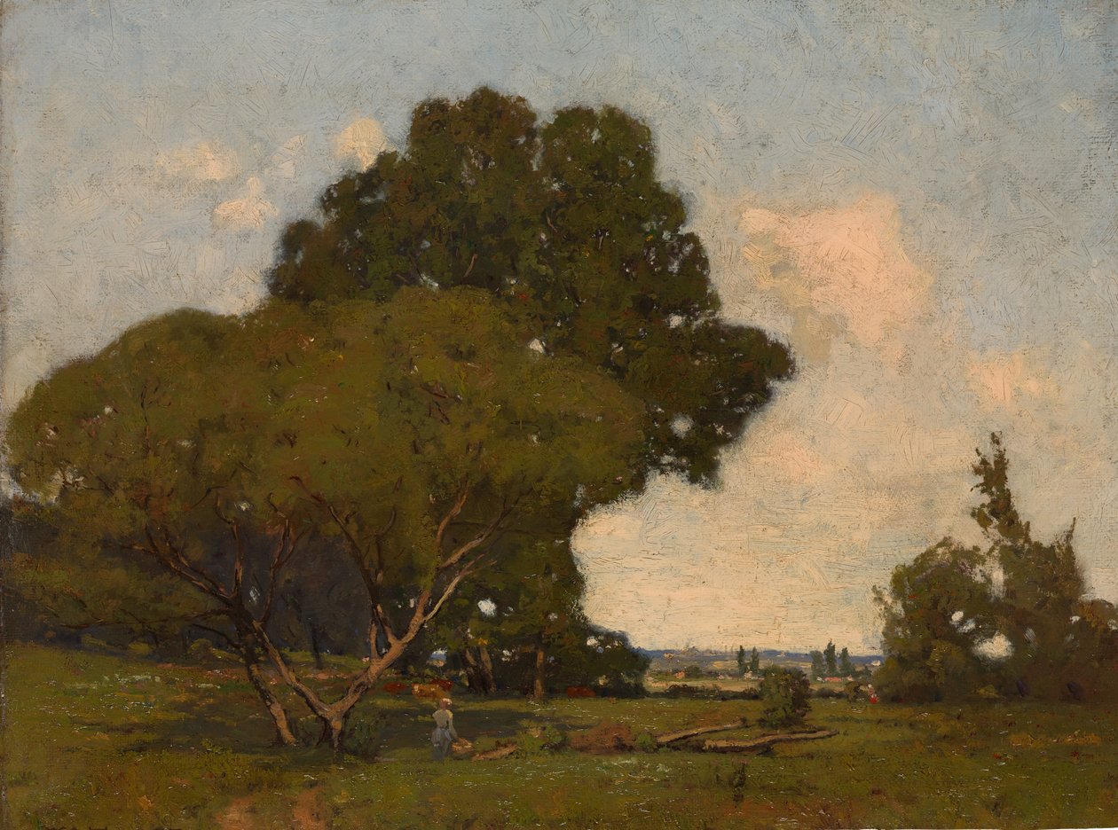 Träden, tidig eftermiddag, Frankrike, ca. 1905. av William A. Harper