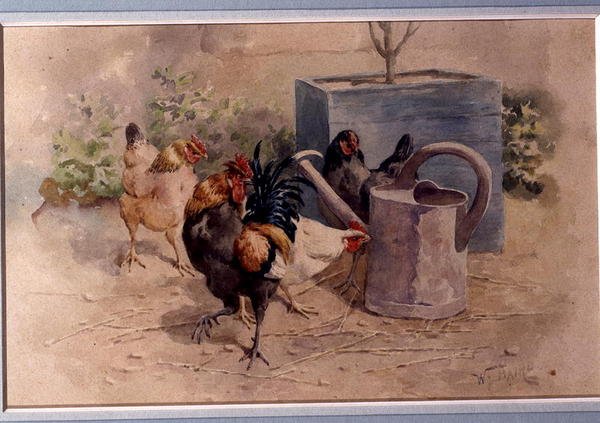 Höns vid en vattenkanna (akvarell med bodycolour på papper) av William Baptiste Baird
