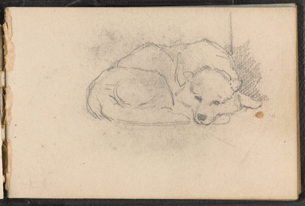 Skiss av en sovande hund, 1879 ca av William Barnes Wollen