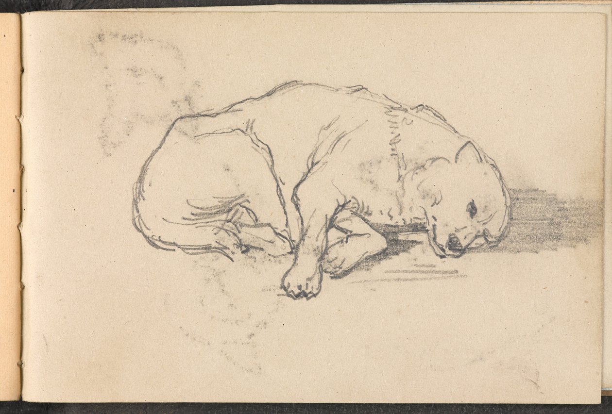 Skiss av en sovande hund, 1879 ca av William Barnes Wollen