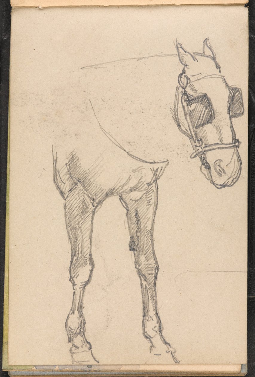 Skiss av häst med blinkers, 1879 ca av William Barnes Wollen