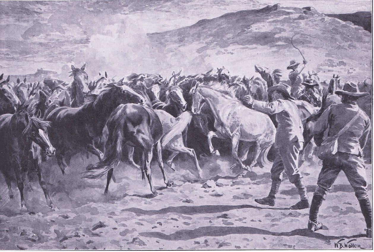 Fångandet av hästarna i Brandwater-distriktet nära Fouriesburg: runda upp flocken, illustration från After Pretoria: The Guerilla War, 1902 av William Barnes Wollen