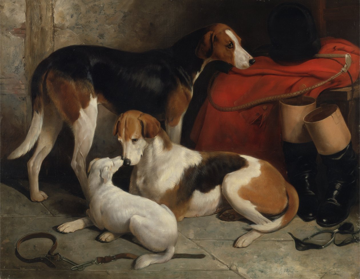 Ett par av Lord Henry Bentincks Foxhounds with a Terrier, c.1845 (olja på duk) av William Barraud