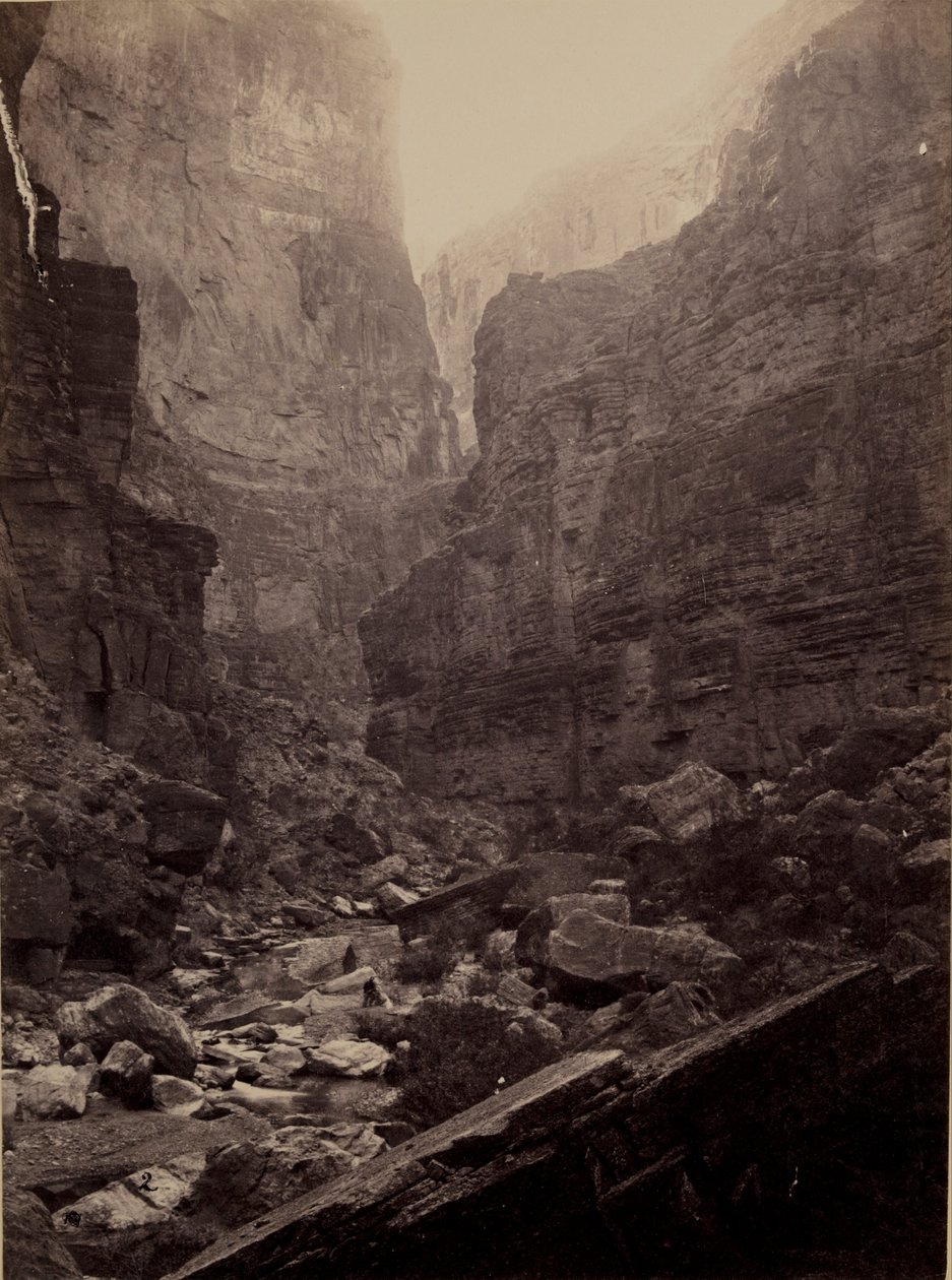 Kanab Wash, Coloradofloden, ser norrut av William Bell