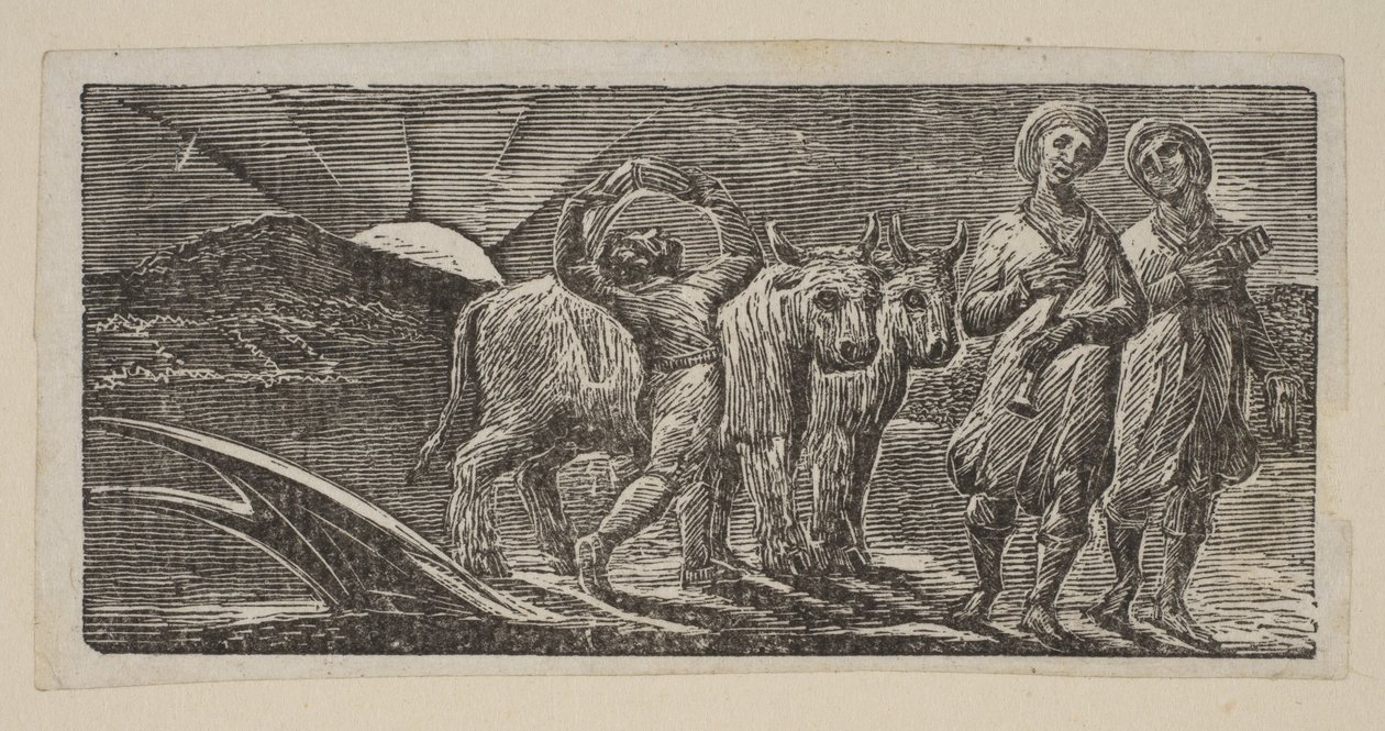 Boy Returning Joyfully, with Plow and Oxen, från Thorntons Pastorals of Virgil, 1821. av William Blake
