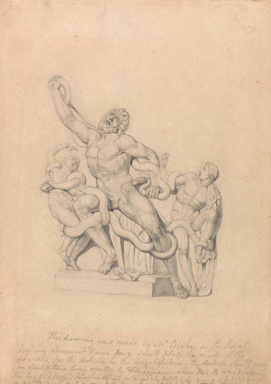 Kopia av Laocoön, för Rees