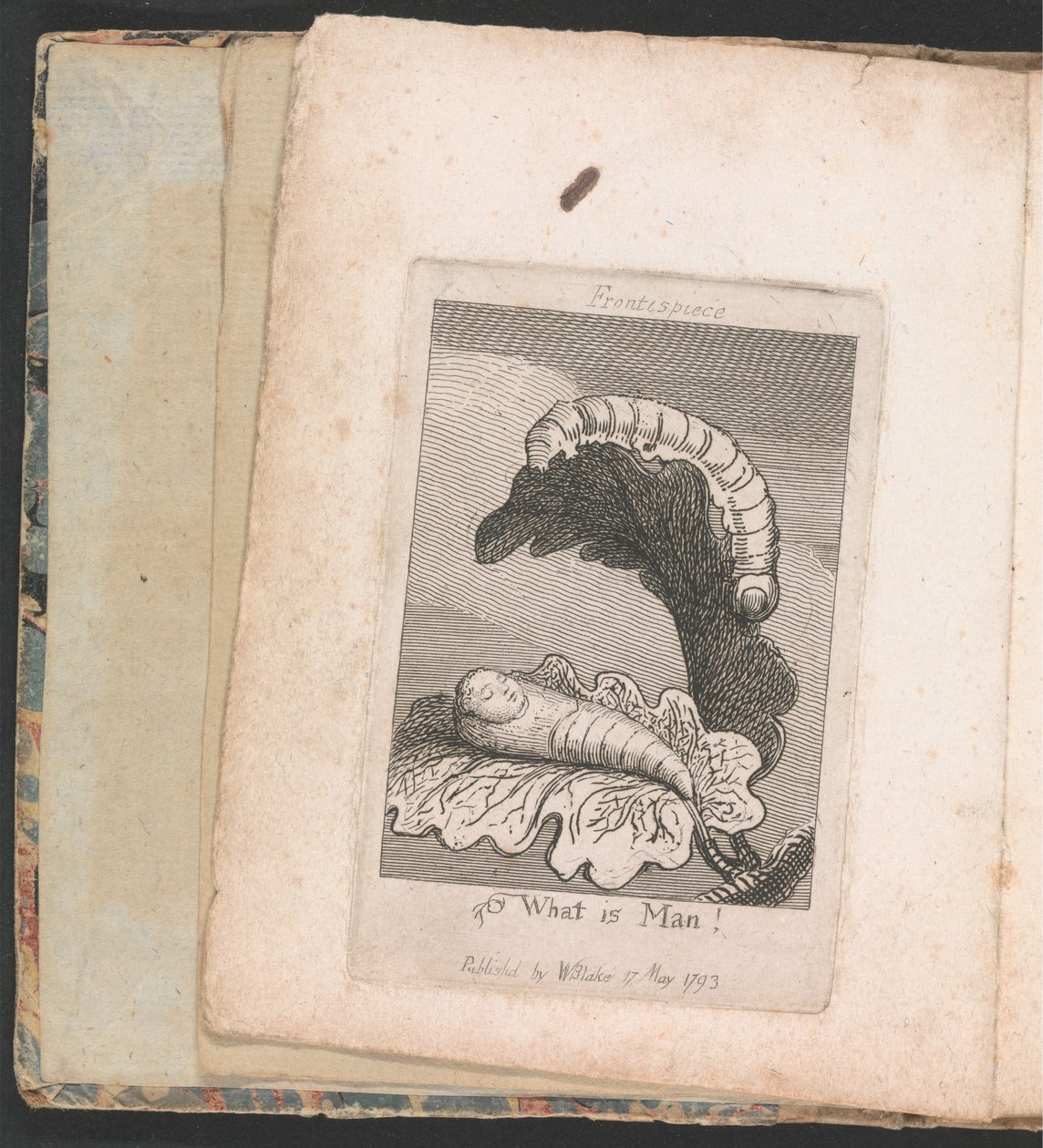 För barn. Paradisets portar, platta 1, Frontispiece, What is Man! av William Blake