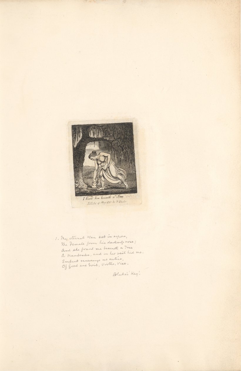 För könen-The Gates of Paradise, tavla 3, jag hittade honom under ett träd av William Blake