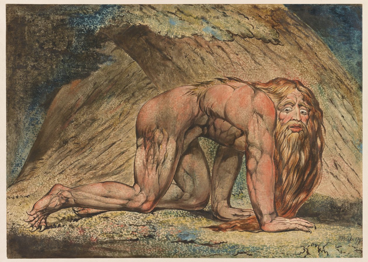 Nebuchadnessar, 1795 (tempera, penna och bläck och wc på papper) av William Blake