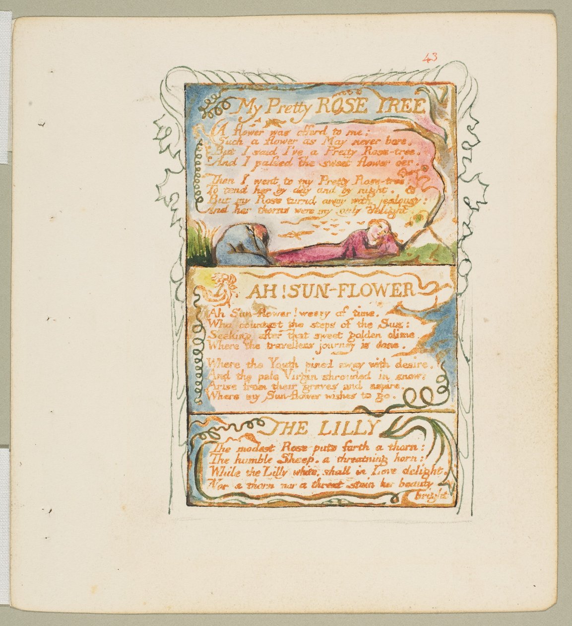 Sånger om oskuld och erfarenhet: My Pretty Rose Tree, Ah! Solblomma, Liljan, ca. 1825. av William Blake