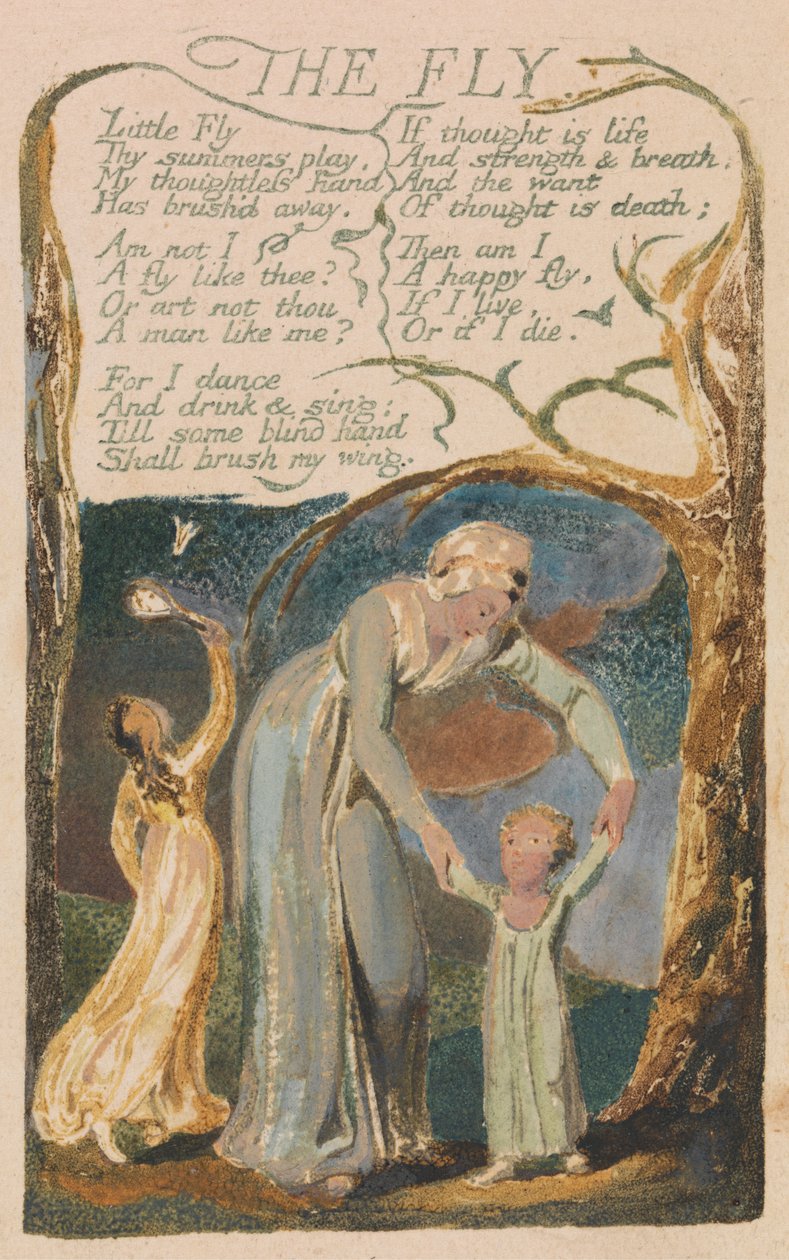Songs of Innocence and of Experience, Plate 48, "The Fly" (Bentley 40) av William Blake
