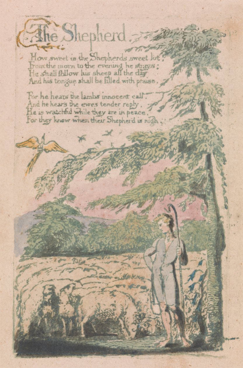 Songs of Innocence and of Experience, tavla 4, "The Shepherd" (Bentley 5) av William Blake