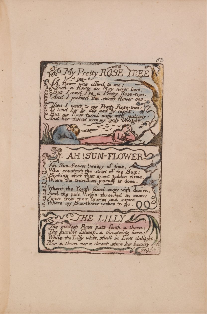 Songs of Innocence and of Experience, tallrik 53, My Pretty Rose Tree, Ah! Solblomma, Liljan av William Blake