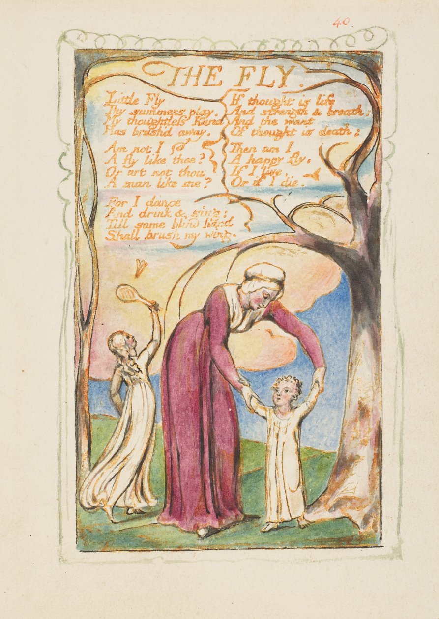 Sånger om oskuld och erfarenhet: Flugan, ca. 1825. av William Blake