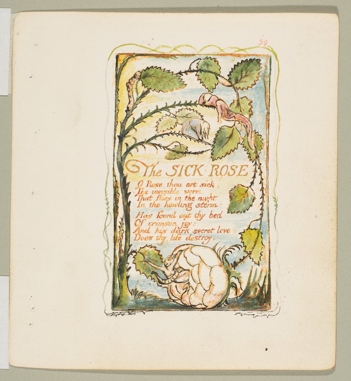 Sånger om oskuld och erfarenhet: The Sick Rose, ca. 1825. av William Blake