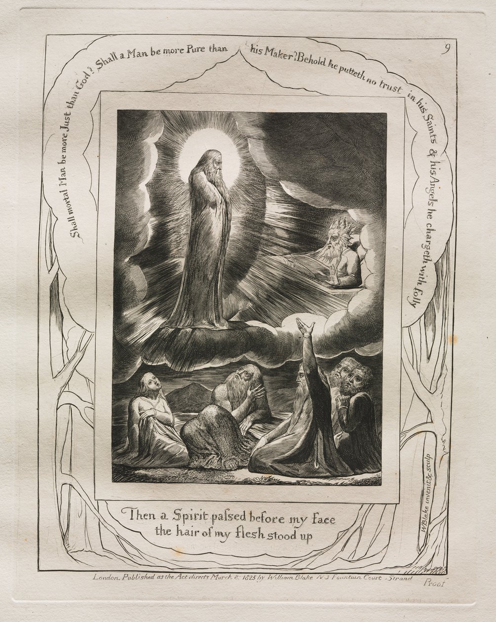 Jobs bok: Pl. 9, Då gick en Ande för mitt ansikte / mitt kötts hår reste sig av William Blake