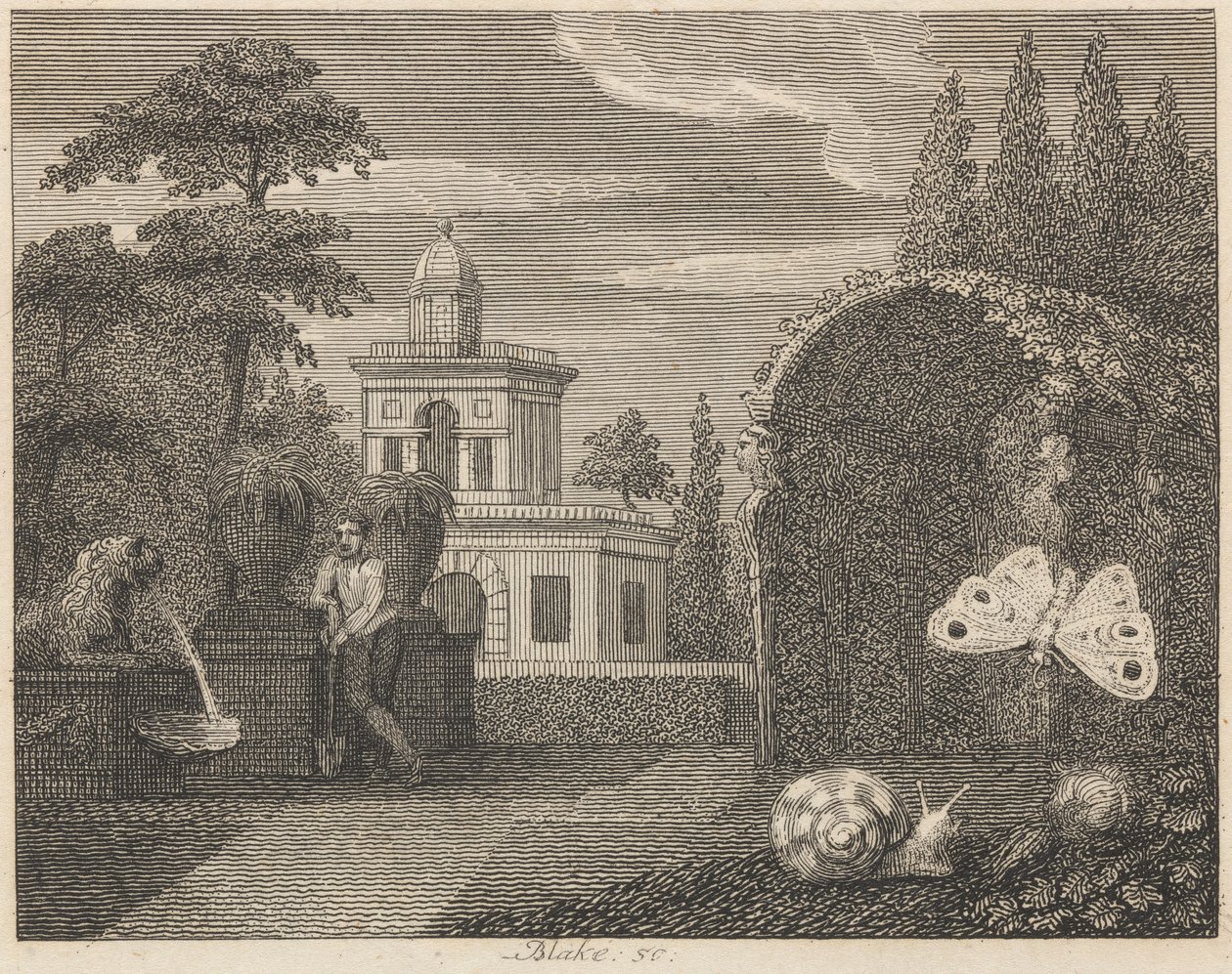 Fjärilen och snigeln av William Blake