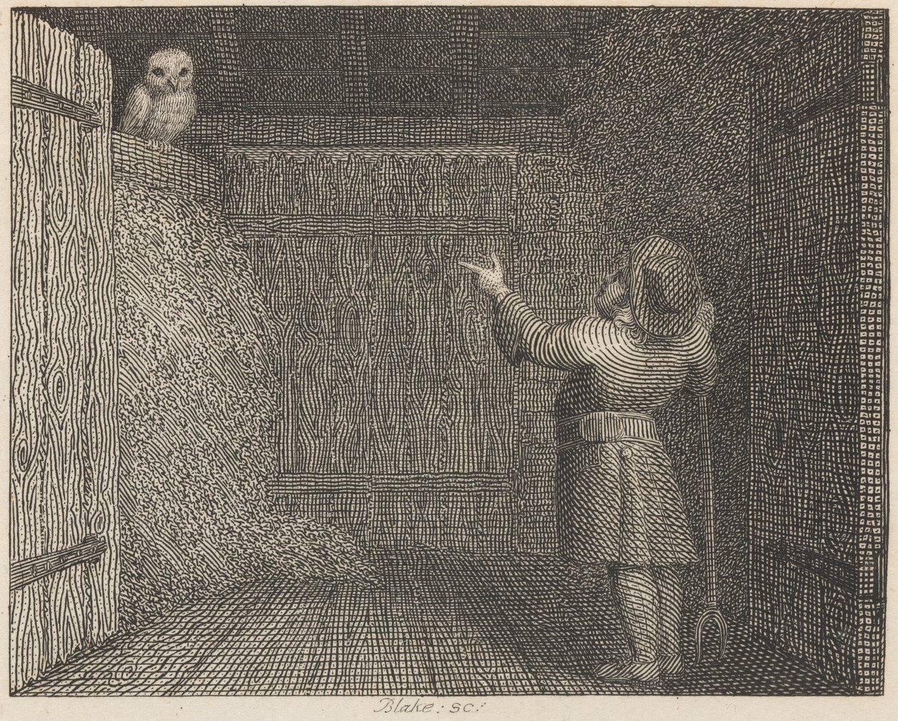 Ugglan och bonden av William Blake