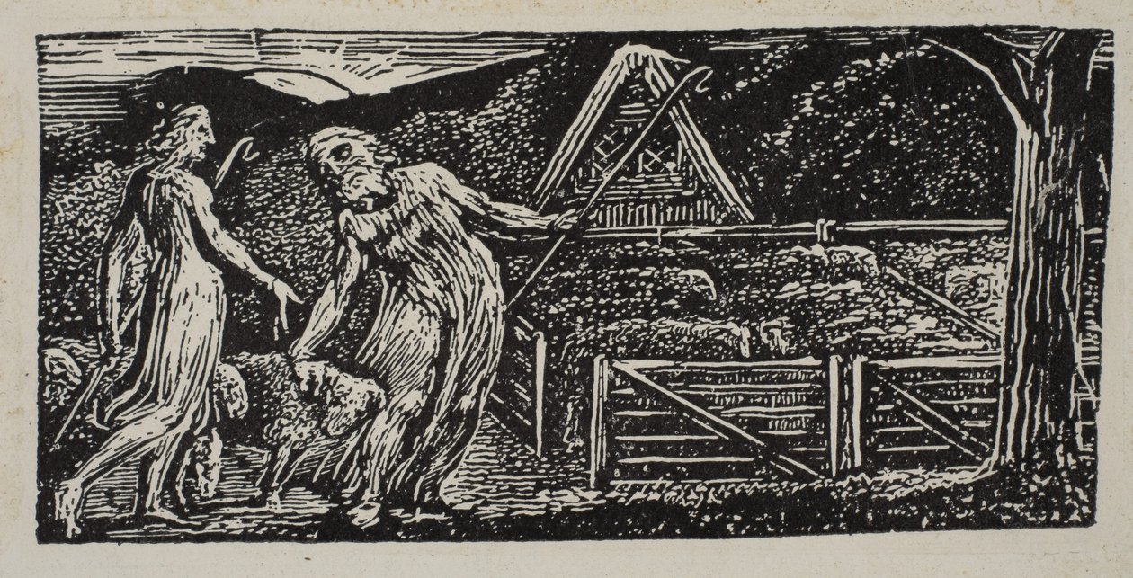 Thenot och Colinet leder sina flockar tillsammans, från Thornton