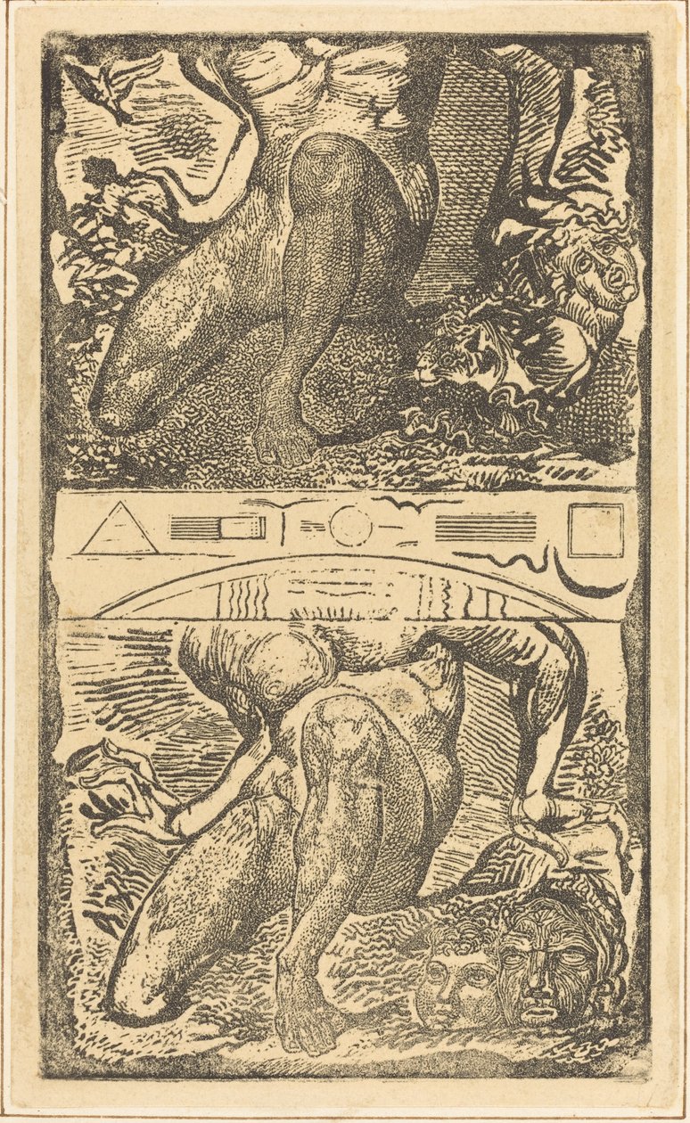 Okänt ämne (Låt honom se upp i himlen och skratta i den ljusa luften) av William Blake