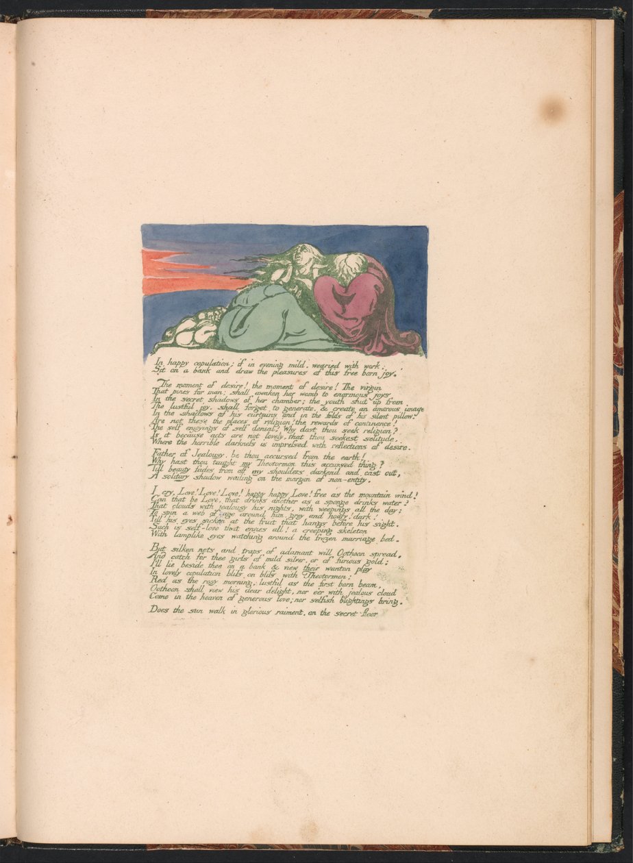 Visions of the Daughters of Albion, Plate 10, In happy copulation . . . . av William Blake