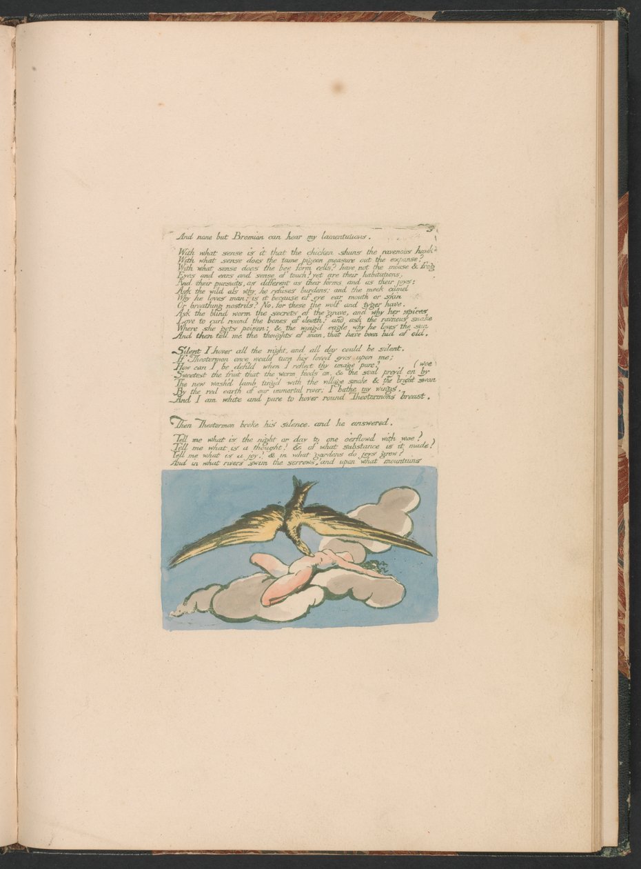 Visions of the Daughters of Albion, tavla 6, "Och ingen utom Bromian . . . ." av William Blake