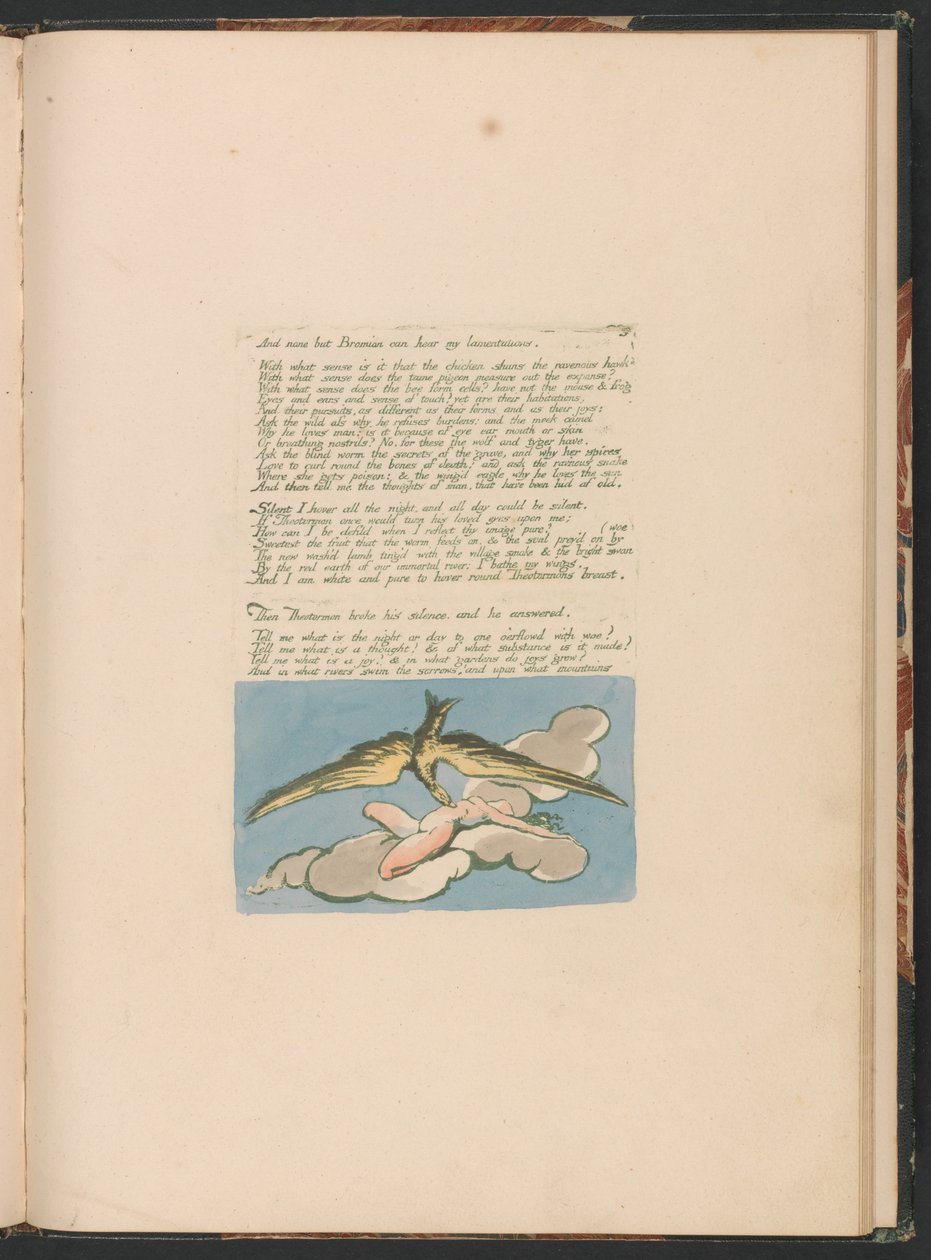 Visions of the Daughters of Albion, Plate 6, Och ingen utom Bromian. . . . av William Blake