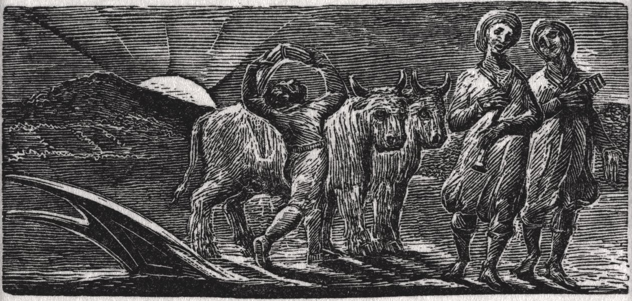 Med Songs the Jovial Hinds Return from Plough, illustration från Dr. Thorntons 