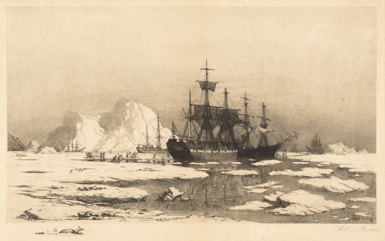 Bland isflaken av William Bradford