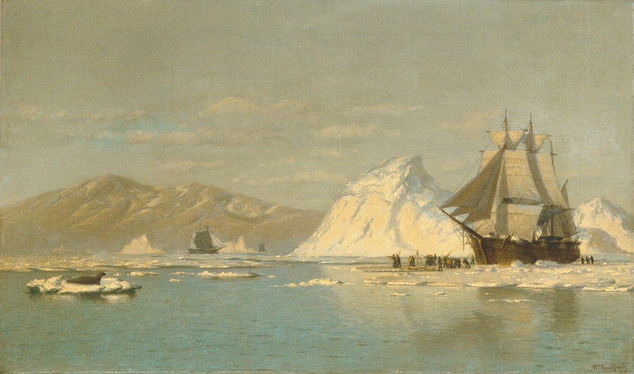 Utanför Grönland - valfångare söker öppet vatten av William Bradford