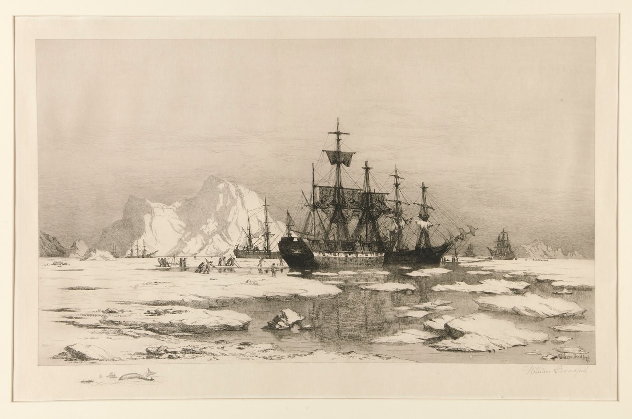 Sealers in the Arctic, efter målningen: Among the Ice Floes, 1875 av William Bradford