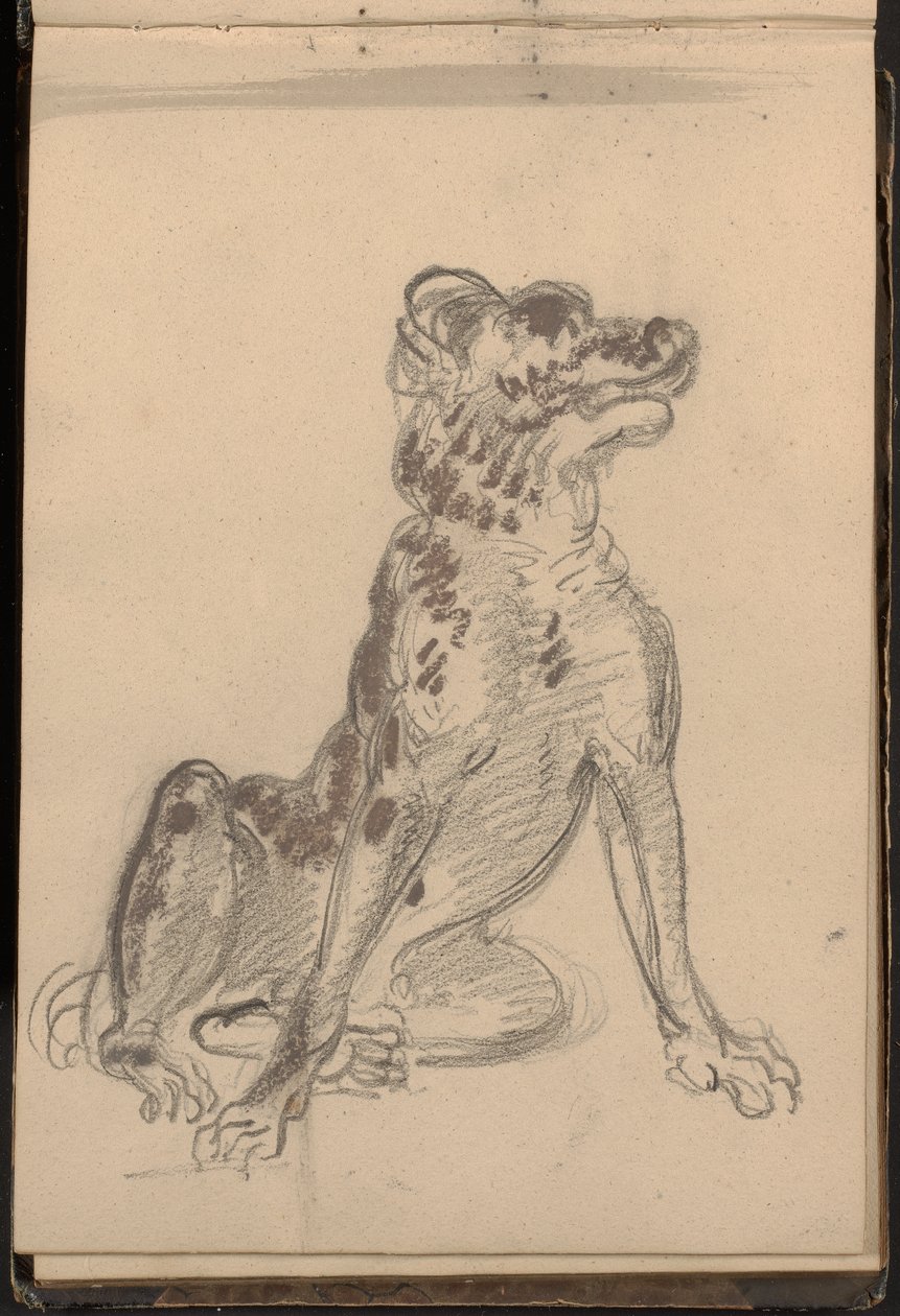 Porträtt av en hund av William Brockedon