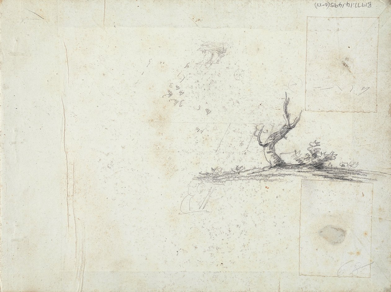 inuti främre omslaget: Sketch of a Tree (upp och ned) av William Brockedon