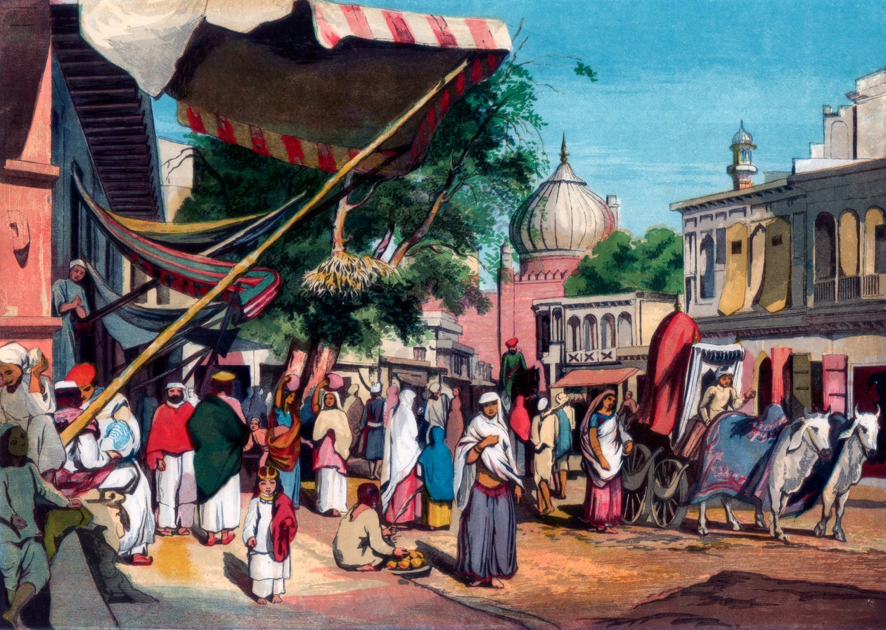 En gata på baksidan av Jami Masjid, Delhi, Indien, 1857. av William Carpenter