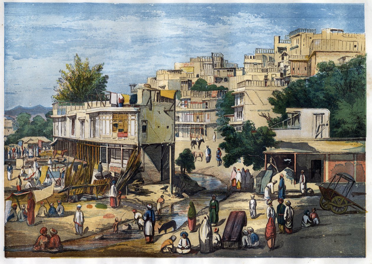 Vy över Peshawar, Pakistan av William Carpenter