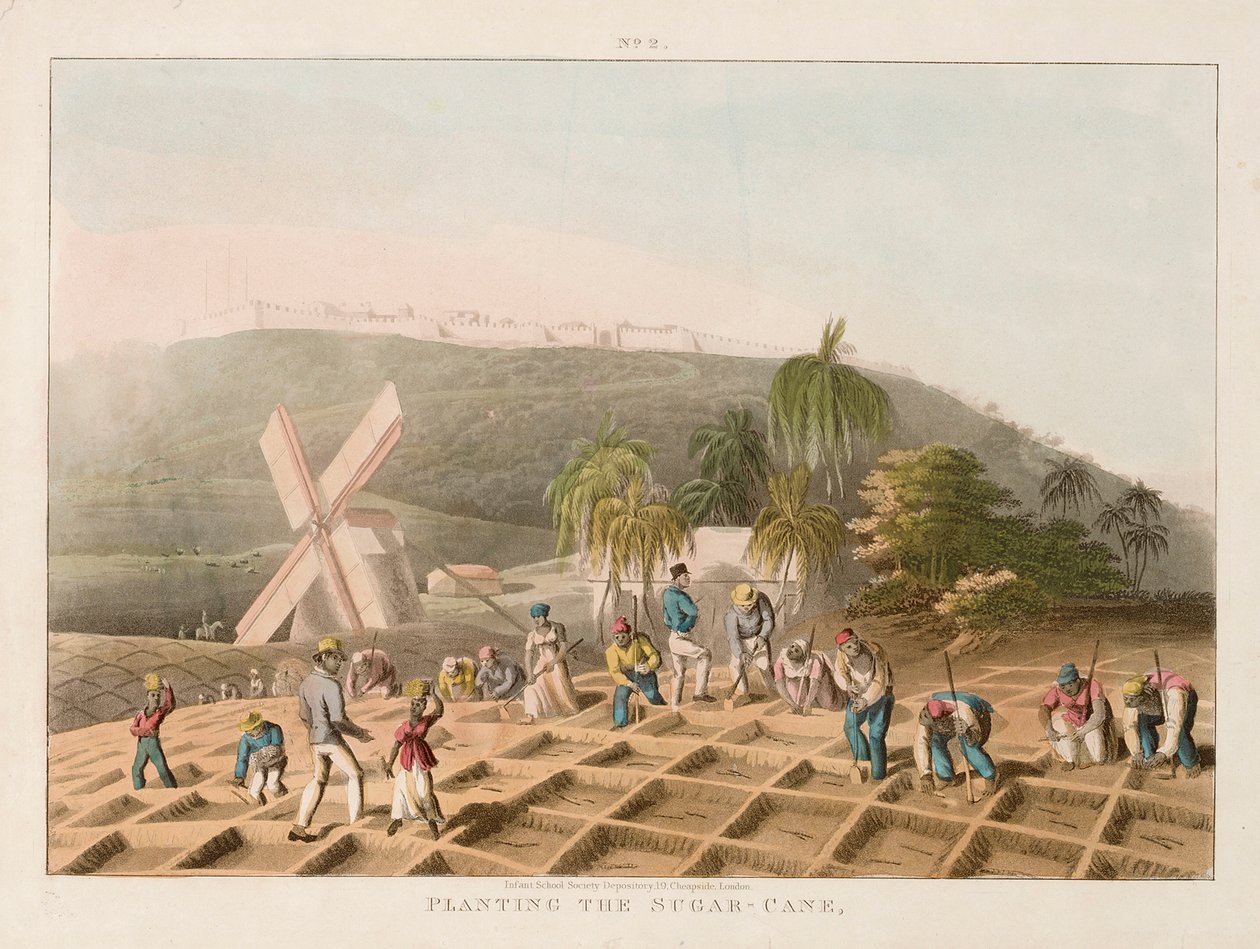 Plantering av sockerrör, ca 1820 (gravyr i kolorit) av William Clark