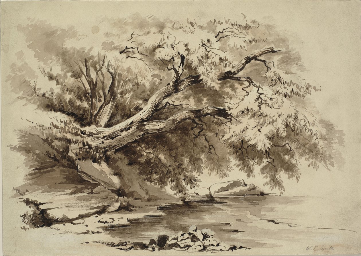 Landskap med träd som hänger över en sjö av William Collingwood Smith