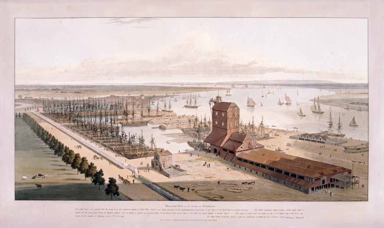 Brunswick Dock och East India Dock, Poplar, London, 1803 av William Daniell