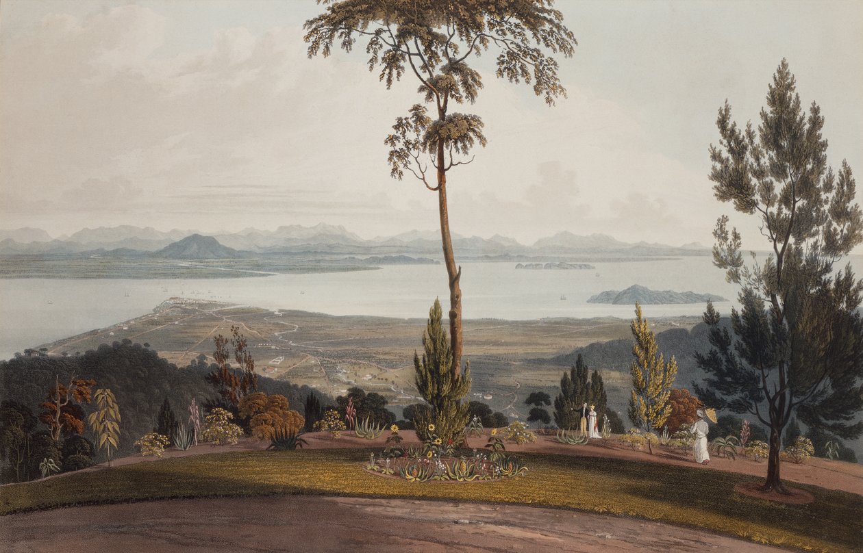Utsikt från Strawberry Hill, Prince of Wales Island av William Daniell