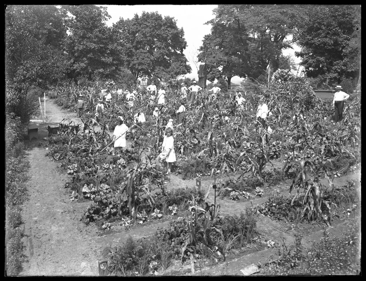 Barn som arbetar i skolträdgården i Isham Park, New York City, 16 augusti 1915. av William Davis Hassler