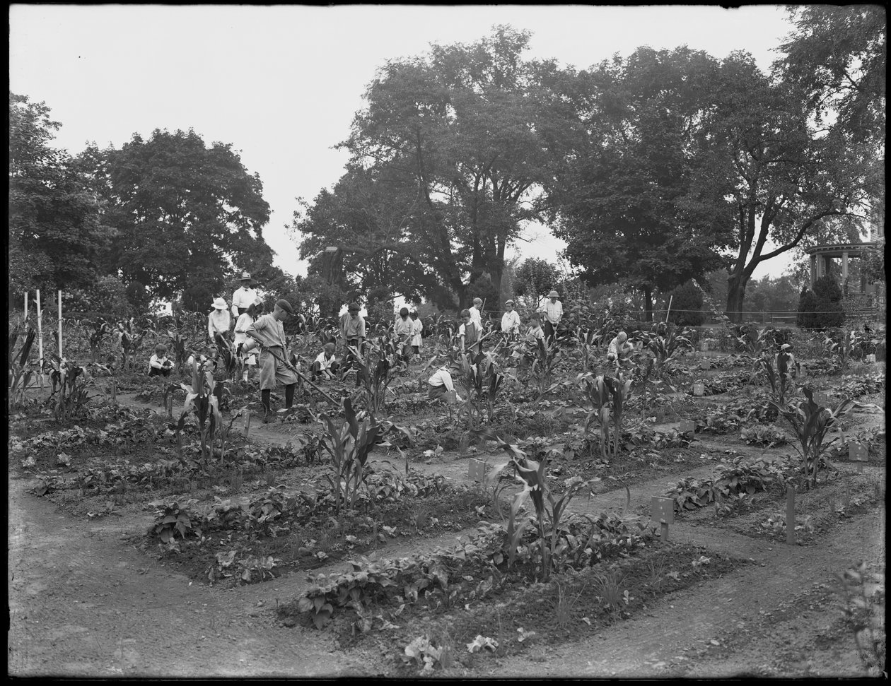 Barn som arbetar i skolträdgården i Isham Park, New York City, 5 augusti 1914 av William Davis Hassler