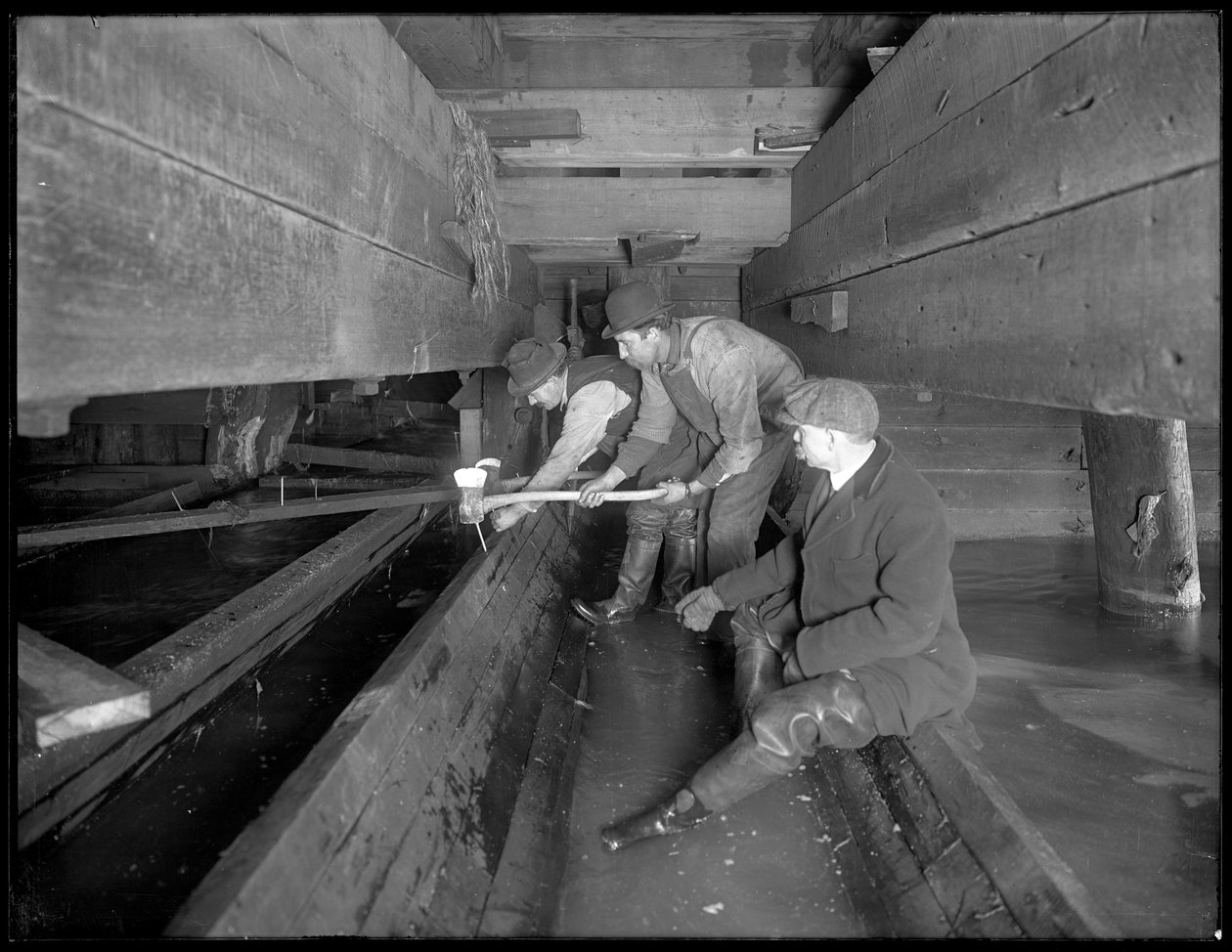 Män som arbetar i avloppet på W. 129th Street, New York, omkring 1911. av William Davis Hassler