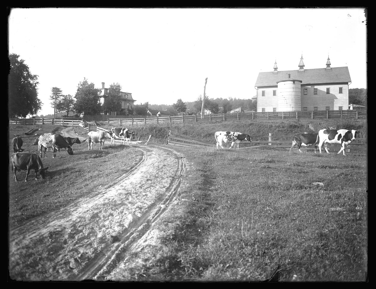 McCready gårdens lada och Thomas bostad, Pennsylvania, ca 1913 av William Davis Hassler