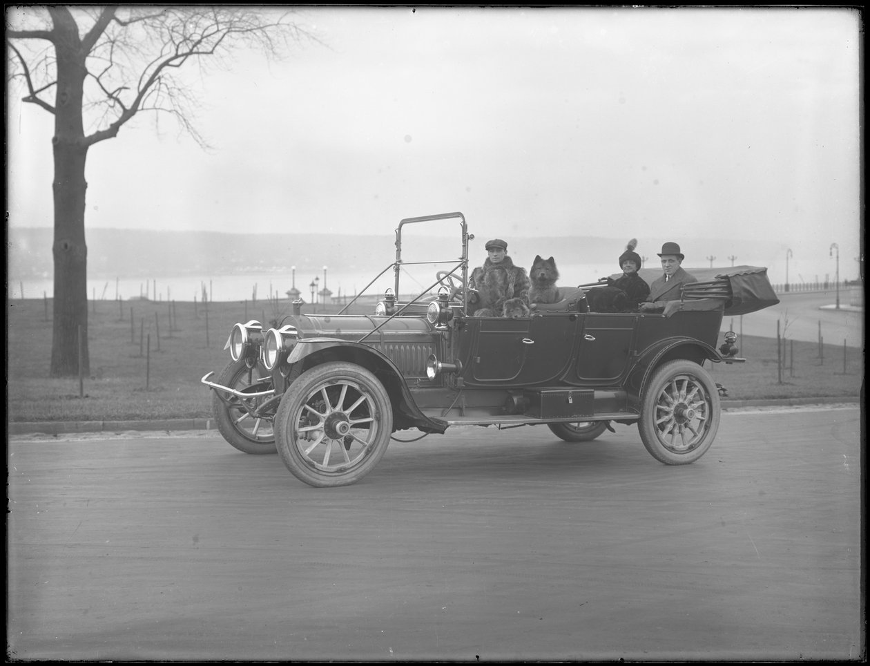 Tre oidentifierade personer och två Chow-hundar som kör i en cabriolet bil längs en flod eller sjö, ca 1912 av William Davis Hassler